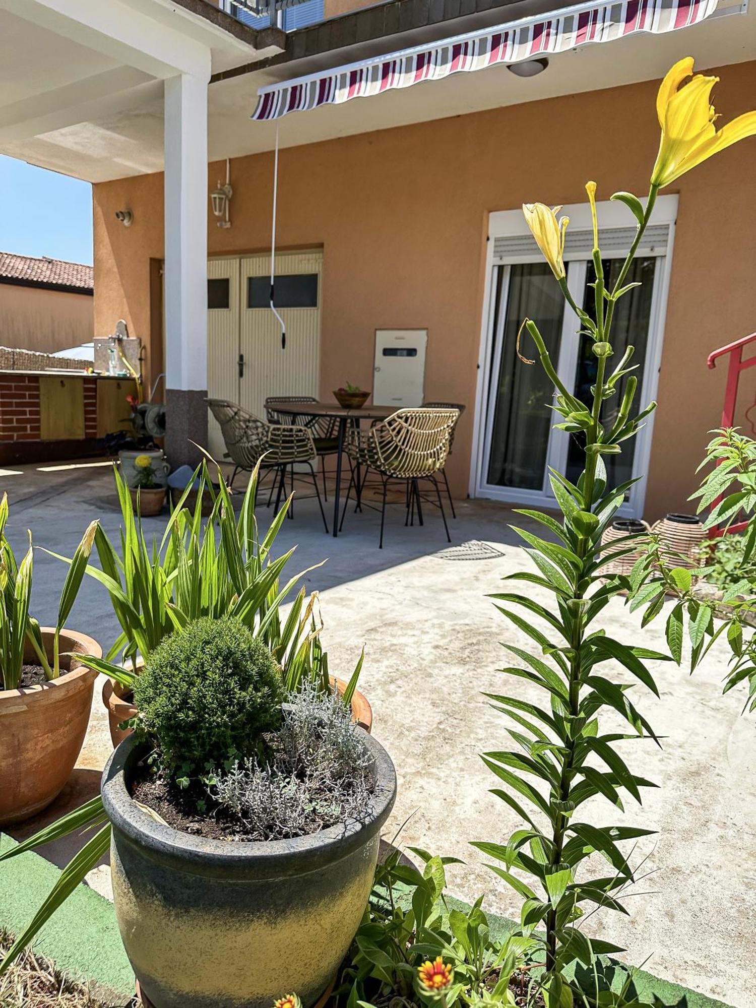 Apartments Dent Umag Buitenkant foto